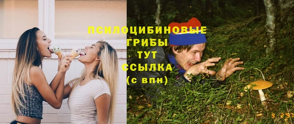 apvp Верея