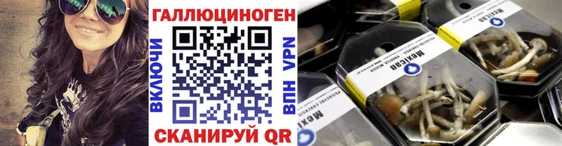 Галлюциногенные грибы прущие грибы  Купить где  Горячеводский 